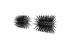 ABS2100_EGOEU_BRISTLE-BRUSH_MAIN_01.png