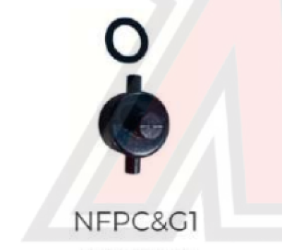 NFCG1