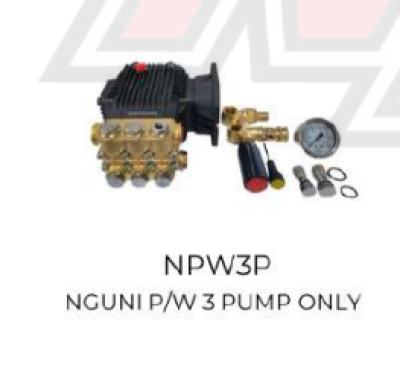 NPW3P