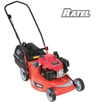 ratel.jpg